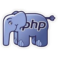 PHP_Pr0grammer's profile picture. 