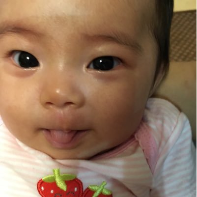 makiyo112's profile picture. 大人 犬党 アザラシ🔰 カレー党 漫画を読むのがすき 昨夏から🍵🦭の応援など(養子はPlum,Boodie,Spheal,Avocado,Laurie)