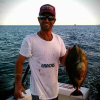 Ferdinand Strobel (@fefeferdinand) 's Twitter Profile Photo Ferdinand Strobel (@fefeferdinand) 's Twitter Profile Photo