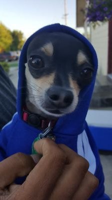 drink2day07's profile picture. 