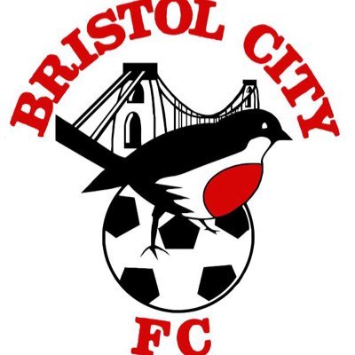 Daily Updates On Bristol City Football Club