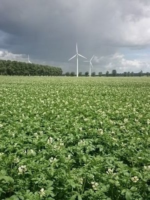 akkerbouwer in Zeewolde en Windup