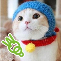 幸福賢者＠2000万円溶かした投資家ブロガー (@esekenja) Twitter profile photo