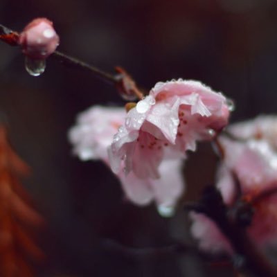 elizabeth_714's profile picture. 