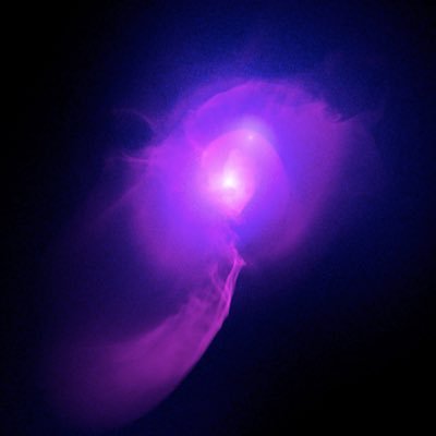 Astrophysicist, computational scientist, research software engineer. Work for @chandraxray, study galaxy clusters, develop for @yt_astro. Views my own.