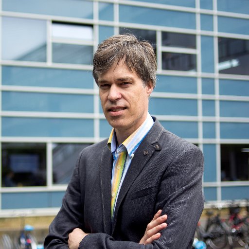 Professor of Safety Science at TU Delft at Safety and Security Science Group