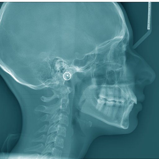 The source of the clinical experiments , unique cases and all about the oral and maxillofacial radiology.