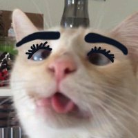 ayşe (@yeminetlan) 's Twitter Profile Photo