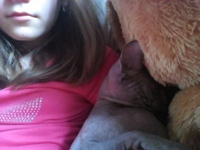 kakaru11712's profile picture. Привет! Меня зовут Даша Савельева, я увлекаюсь пони, рисую, но людей не очень умею, люблю общаться с всегда позитивными людьми