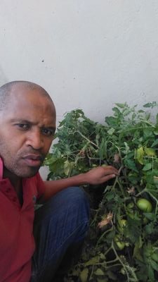 I have the wisdom and grace from jehova to show nations organic food production systems