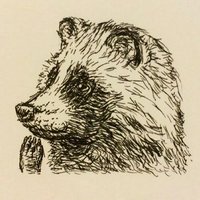 狸 (@nobadanuki) 's Twitter Profile
