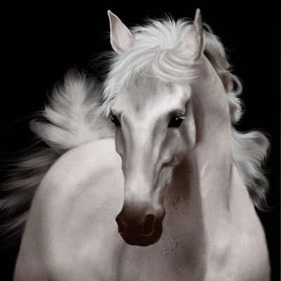 JoshiAmee's profile picture. 