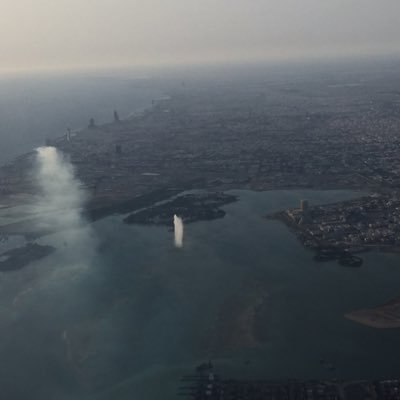 a_uzae's profile picture. عادي