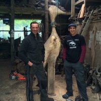 Kevin Casey (@bog_oak) 's Twitter Profile