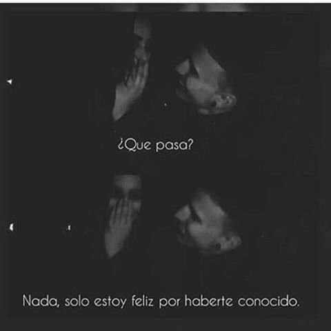 MileVeltriOk's profile picture. 