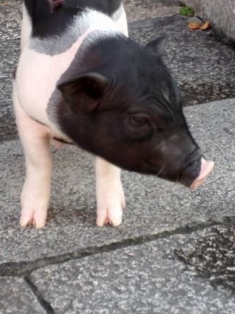 nIsdpAcrXsNJ4eo's profile picture. 自然の森と大地を愛しています