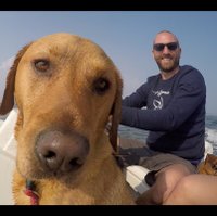 Dave Bull (@edavebull) 's Twitter Profile