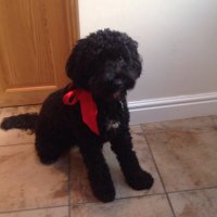 Jane Hodgkinson (@jane_jhodgkin) 's Twitter Profile