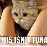 JordanBVlogs's profile picture. Youtuber 45 subs do daily funny vids or vlogs. Wanna be a sub click this link did you sub to me yet?https://t.co/KTWL2m09Gu