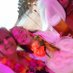 Linda Hatchett (@lindahatchett) Twitter profile photo Linda Hatchett (@lindahatchett) Twitter profile photo