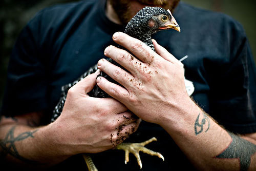 Corsonbuilding's profile picture. Food, Community, Culture, and the Art of Sharing