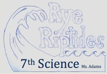 7thScience's profile picture. Science at Rye Jr. High School (A Middle School)