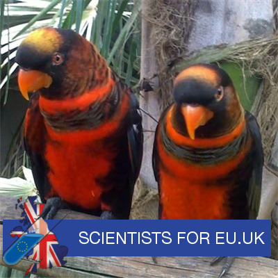 wilkes_nat's profile picture. Medical research scientist.