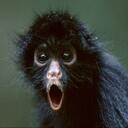 Laila Moore - @LailaBface - Twitter