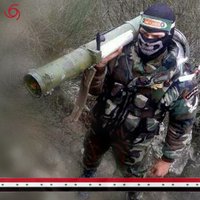 The'Nimr'Tiger (@souria4syrians) 's Twitter Profile Photo