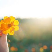 gGLQbCuCsPpTyBV's profile picture. 