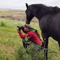 Bonnie Critchley (@critchwolf) 's Twitter Profile