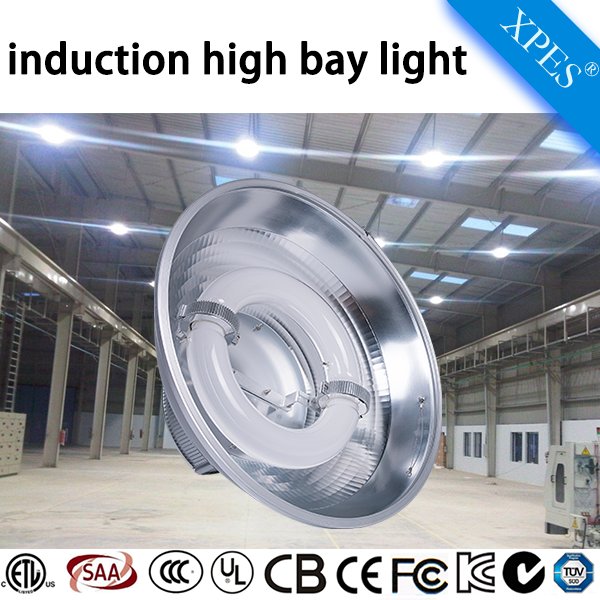 China manufacturer, which produce induction high bay light,induction grow light,induction street light,induction flood light, and 300W germicidal UV lamp.