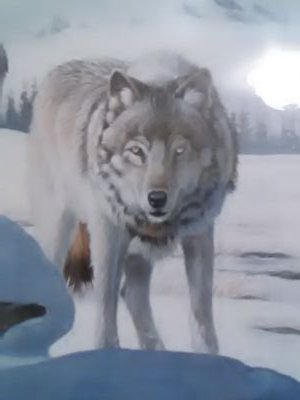 Music Pop Country Classic Rock Entertainment Movies Cute animals TV Shows DIY & Home Parenting Fashion & Beauty Gaming Games