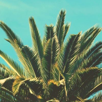 nosvamosabali's profile picture. Agencia de viajes especializada en Bali.