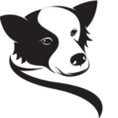 bordercolliefc Profile Picture