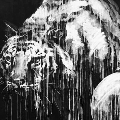 IamFrankRivera's profile picture. 