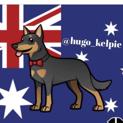 hugo_kelpie Profile Picture