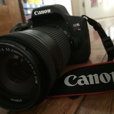 A1JQPESo8qSu0mE's profile picture. 趣味 写真撮影！一番は好きな人と写真を撮りに出かけること。大切な時間を思い出の1枚に。