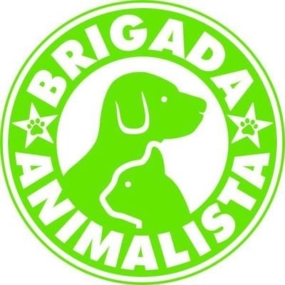 🍀Asociación sin ánimo de lucro. 🙅🏻‍♀️Rescatamos y rehabilitamos 🐕🐈. 
Colabora con 1€ al mes desde Teaming: https://t.co/ho56iXttZV