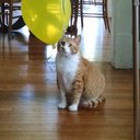 Daisy Schmidt - @tayadaisy - Twitter