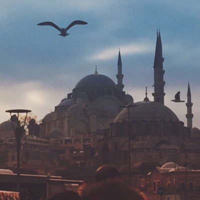 Abood11rs's profile picture. 