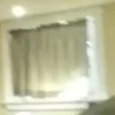 thebrowncurtain's profile picture. hello everyone im a light brown curtain owned by @thesmithplays and my rival is @thecurtainplays and i hate @smittys_hair because it always blocks my view