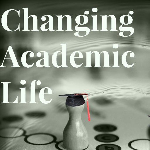 Academics share their experiences and tips for coping with a changing academia – can we play the game in a different way, can we change the game?