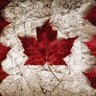 GeebeeMr's profile picture. Canada 1st! Stop AB transfer payments to Ottawa! No tax $ to groups rejecting pipelines! Climate change is a farce! PM Justin Castro is a joke! 🇨🇦🇺🇸🇬🇧🇮🇱