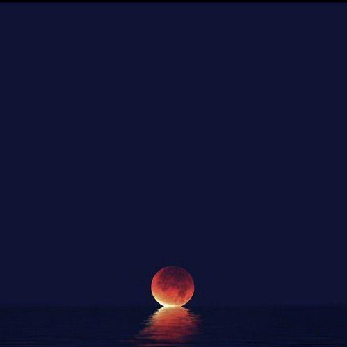 xliu32's profile picture. Following the trend in Houston.