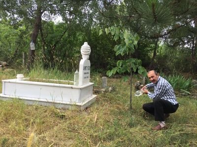 suatsezer05's profile picture. @TTaksiyon