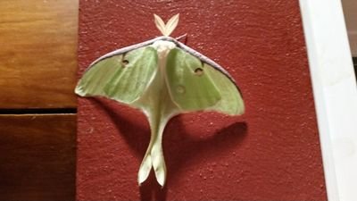 TrueFatcs's profile picture. Your daily dose of the freshest fatcs.