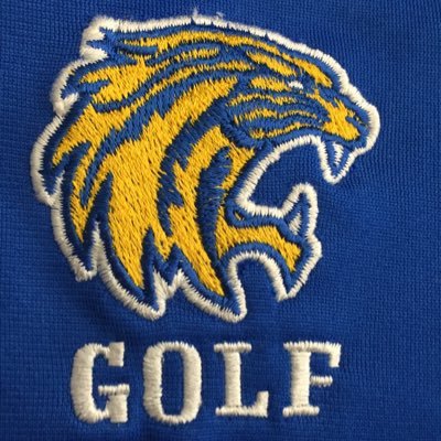 LHSwildcatgolf Profile Picture