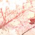 Youtube Flower (@ytflwer) Twitter profile photo Youtube Flower (@ytflwer) Twitter profile photo