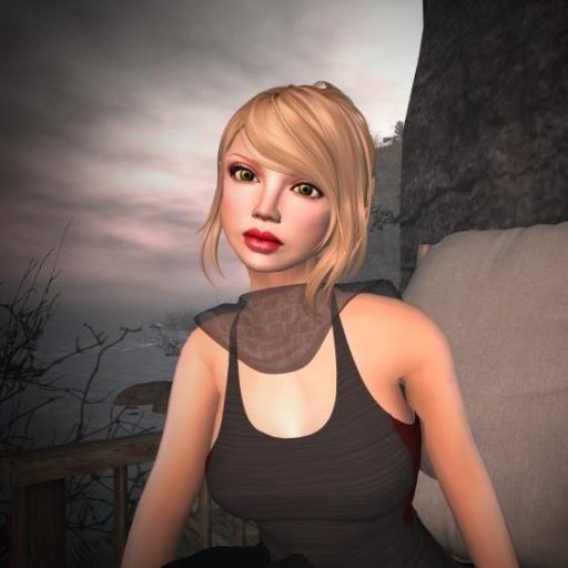 Second Life Photographer, Brown University Social and Behavioral Sciences Providence, RI